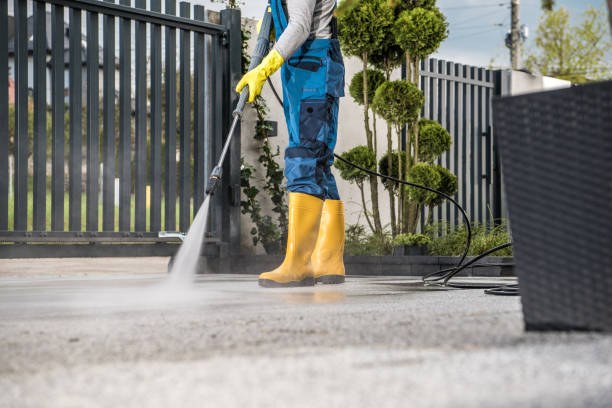Best Local Pressure Washing Services  in Visalia, CA